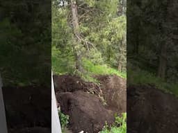 Hole under the cabin for the holding tank, huge improvement! #shorts #remodel #subscribe