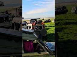 the maasai mara experience #Malaikacamp