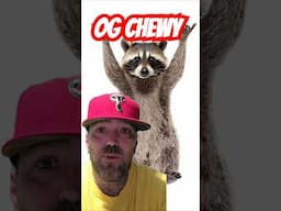 Raccoon Had M3th Pipe In It's Mouth During Traffic Stop.