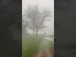 Wild tornado in Ottawa, Ontario, Canada!