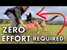 Treats NOT Working? Do THIS Instead to Train Your Dog💥