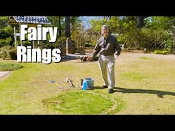 Fairy Rings