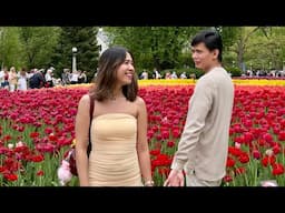 OTTAWA ONTARIO, CANADA (Tulips Festival, Parliament Hill, Downtown) #travel #canada #ottawa #tulip