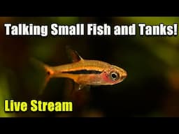 [LIVE]  Joanna and Eli Tank Small Fish and Tanks + Fish Q&A!