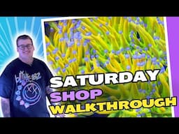 Saturday Shop Walkthrough - With Blake!