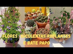 FLORES  REPLANTES LINDOS DE SUCULENTAS E BATE PAPO