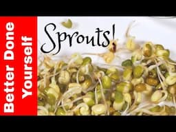 How to Grow Your Own Sprouts