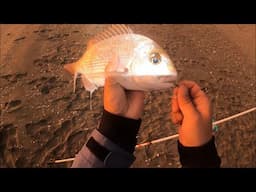 Night Fishing Adventure: Challenging Estuary Expedition (NZ Fishing)