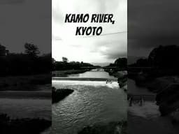 Kamo River, Kyoto, Japan #kamoriver #kyoto #japan #kawaramachi #kyototrip #japanese #japantravel