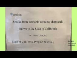 Cannabis & Lung Cancer: Dr Donald Tashkin UCLA