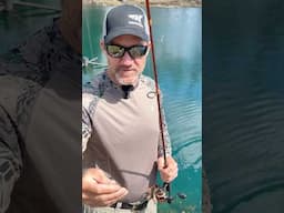 Pond fishing with my new @KastKing #brentchapmancombo :) #fishing