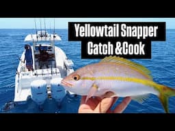 Yellowtail Snapper Fishing in South Florida: Catch and Cook Fish Fry!