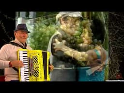 La valse du rosé _ A ECOUTER SANS MODERATION   __ valse musette JC 898