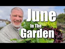 June In The Allotment
