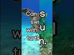 Ocean Story Time for Preschoolers | Read and Learn Sight Words