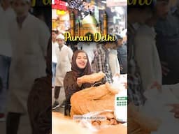 PURANI DELHI ✨🕌 DELICIOUS FOOD🍗🥘🧇 Jama Masjid, Old Delhi @khatarnakjanab @ramshasultankhan