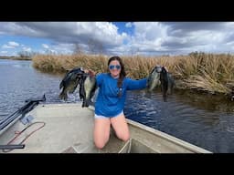Catching BIG Louisiana Sac Au Lait (Crappie) with Jigs on Grass Banks!