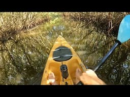 I Saw You Dude... Kayak Fishing For Backcountry Tarpon