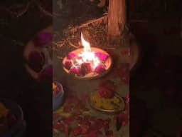 FAZENDO MAGIA #tarotdoamor #tarot #baralhociganogratis #amor #cartasciganas #bruxa