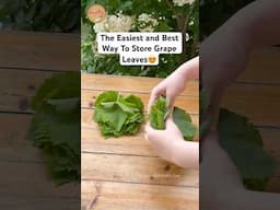 The easiest and best way to store grape leaves!
