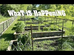 What is Happening? Let's look!