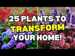 From Boring to BREATHTAKING: 25 Plants That Transform Homes!