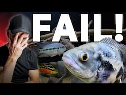 Don't Make The Same Aquarium MISTAKES I Made