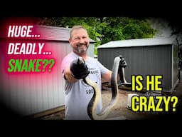 What Happens When A GIANT Snake Visits The Farm?