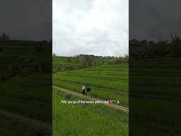 Off the beaten path Bali adventure