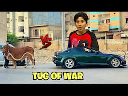 My Heavy Cow vs Sports Car Tug of War!🐄😳