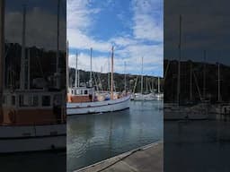Whangarei New Zealand | Whangarei Town Basin #newzealand #shorts