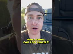 Which Animal Can’t Get Cancer?! 🤔#shorts #animals