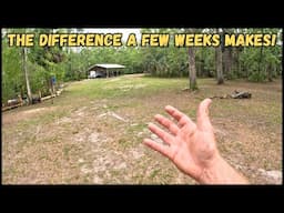 What A Difference! River Property Work