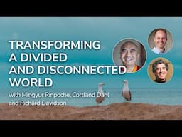 Transforming a Divided and Disconnected World