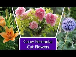 Move Over Zinnias! Perennials for Your Cut Flower Garden