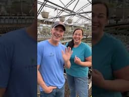 How We Got Started in the Greenhouse Business and What We've Learned