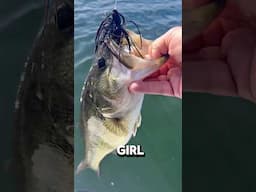 This Lure… I Tell Ya What 🔥