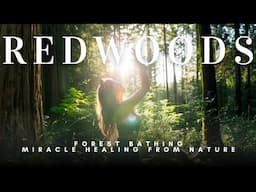 Forest Bathing | Nature’s Medicine & the Magic of the Redwoods ✨🌲
