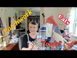 Vlog 6: Patchwork, cats, and toads...of course they go together. Why? Life is strange, that's why!