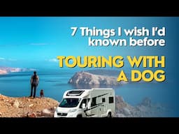 🐶 Van life with a dog - 7 things you need to know