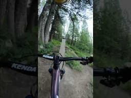 Would you hit this log jump? #mtb