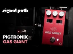 Massive Gated Muff Fuzz Tones | Pigtronix Gas Giant | Deep Dive