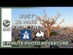 Newbiggin Crags Limestone Pavement - Cumbria - A 5 Minute Photo Adventure