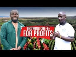 Coffee Farming can make you a Millionaire in Two Years