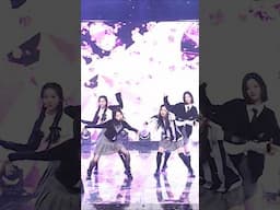 tripleS 'Invincible' 🌸[Simply K-Pop]🌸 (트리플에스 에볼루션)