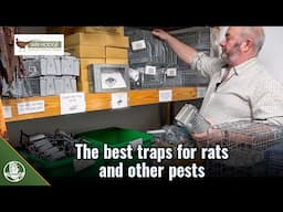 The best traps for rats and other pests