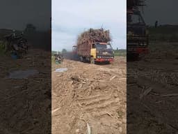 detik detik truk tebu gak kuat jalan masih basah