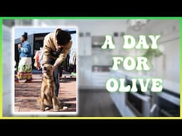 Day with Olive | Cooking Bulgogi for the family