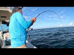 Fishing Government Tower and Wreck Monsters + Tasty Fish 50+ Miles Out!