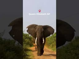 Uganda Perfect Itinerary